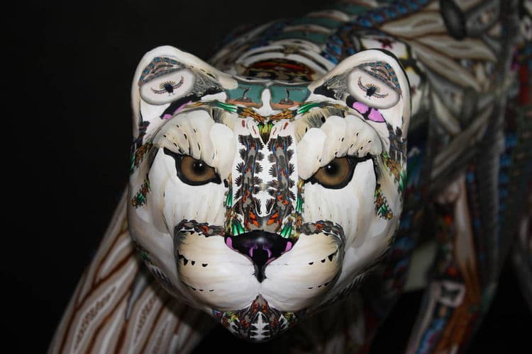 Wild Cat - Hero Image