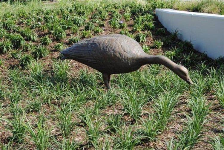 Wildlife Monuments - The Landing - Thumbnail 3