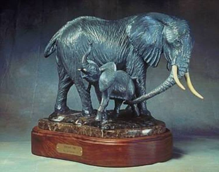 Wildlife - Born Defiant - Hero Image