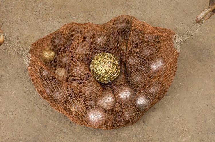 Seed Pod 2 - Thumbnail 5