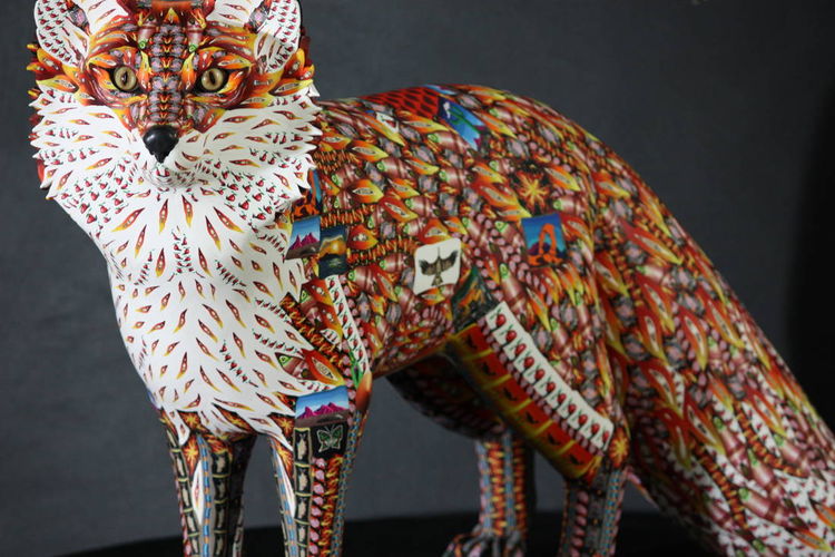 Red Fox